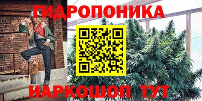 мдпв Ливны