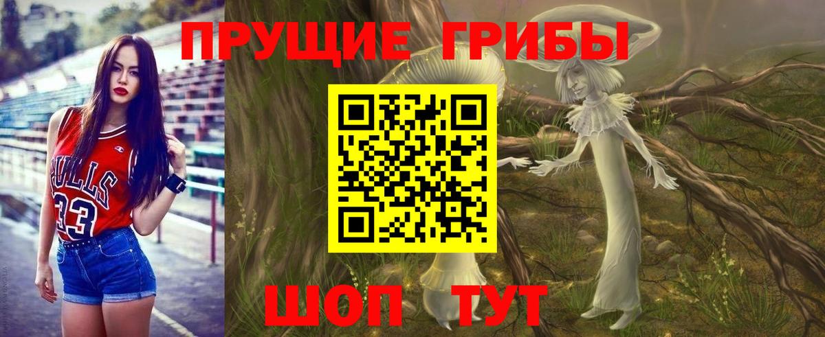 цена наркотик  Псилоцибиновые грибы прущие грибы  Псилоцибиновые грибы мицелий  Вход с VPN  Северобайкальск 